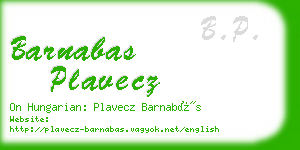 barnabas plavecz business card